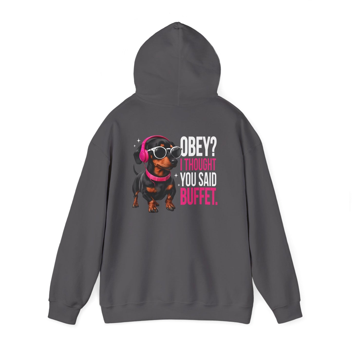 Doge Inspired Hooded Sweatshirt - Funny Pet Lover Gift