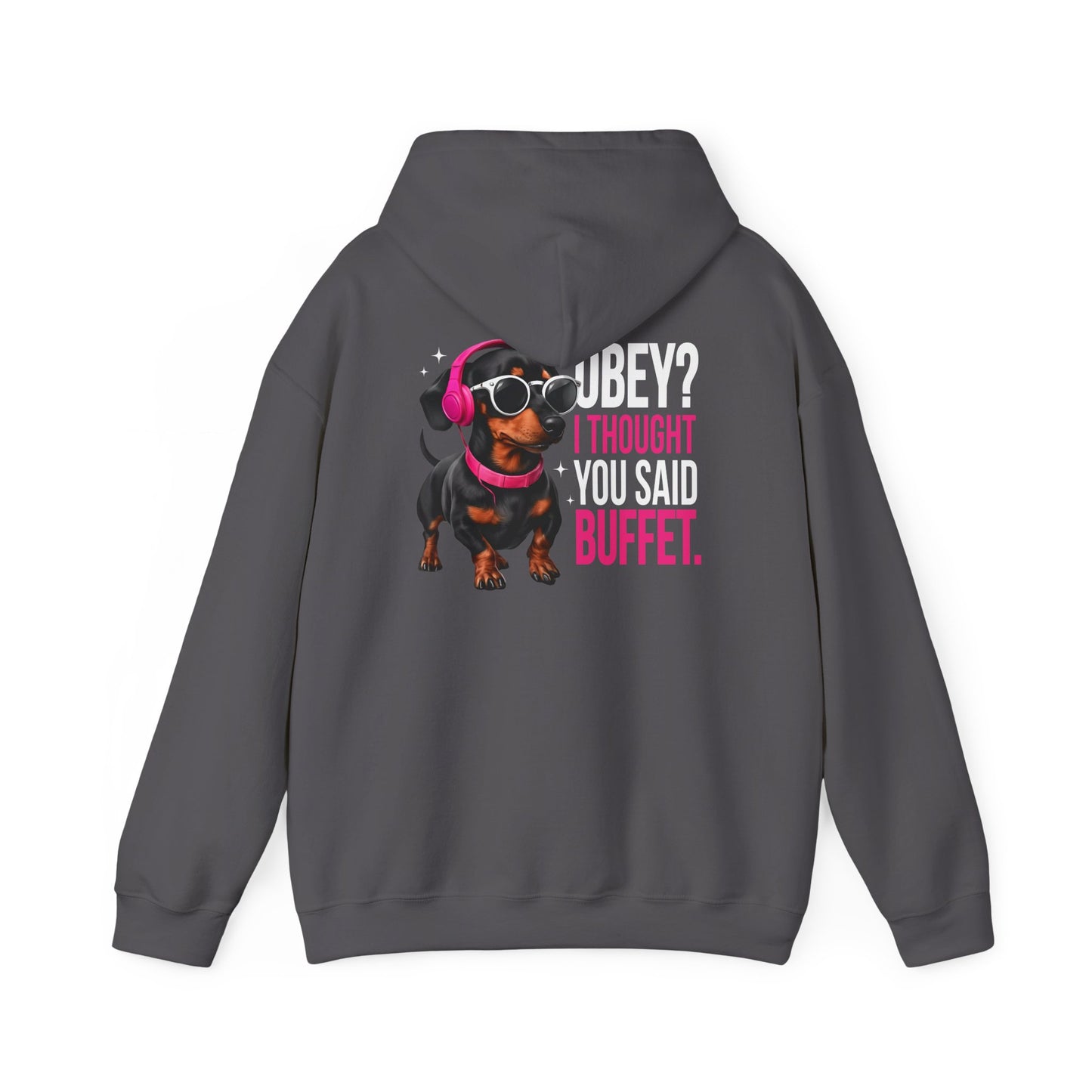 Doge Inspired Hooded Sweatshirt - Funny Pet Lover Gift