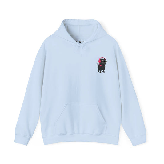Grumpy Gassy Gorgeous Pug Hoodie - Unisex Sweatshirt